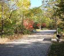 Le parc de la Visitation avec Léo au repos.