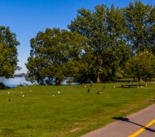 Le parc de la Merci,  piste cyclable bordant la rivière des Prairies dans l'arrondissement Nouveau-Bordeaux.